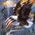 Donnie Moore's profile image