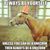 Sherra Scott's profile image