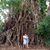 Jayson Caridad's profile image