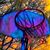 Kush L. Pal's profile image