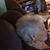 Shirley Evans's profile image
