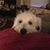 Jennifer Brooks's profile image