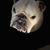 Lucy W Kimble's profile image