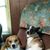 Cathy Fishel's profile image
