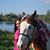 Nyla Lamorte's profile image