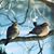 Deb Guttshall's profile image
