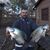 Ryan Jennings's profile image