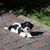 Cathy Fetter's profile image
