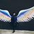 Zhilwan A Jaff's profile image
