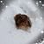 Terri Hobrock Hobbs's profile image