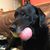 Michelle Roes's profile image