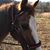 Mary Catherine Chewning's profile image