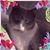 Kathy McdonaldOleski's profile image