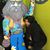 Amanda Bonadito Campbell's profile image