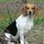 Melissa Finzel Turner's profile image