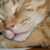 Sherry Milburn's profile image