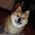 James J Soike's profile image
