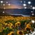 Sharelle Zittleman's profile image