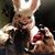 Teresa Hitchens Moore's profile image