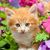 Debra Maloy Palmer's profile image