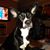 Bobbi Jo Morawiec's profile image