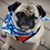 Rick Debbie Kopaczewski's profile image