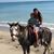 Christina Edenfield's profile image