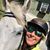 Lynn Floyd Carrigan's profile image