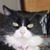 John Lesneski's profile image