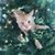 Beverly Hammond Vichko's profile image