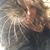 Amanda Marble's profile image