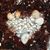 Zivile Andrius's profile image