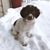 Jenesia Buschman's profile image