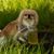 Kathy Brenner's profile image