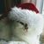 Jackie Perkins's profile image