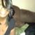 Sondra Wilson's profile image