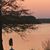 Susan Seale Sarver's profile image