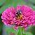 Susan Bentley Powers's profile image