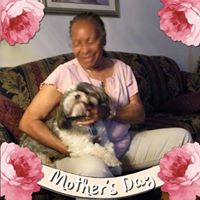 Lisa Brown's profile image