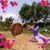 Duong Truc's profile image