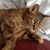Kathy Leathers's profile image