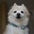 Ernie Smith's profile image
