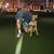 Michael DeSouto's profile image
