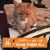 Ginny Demarco-Pizza's profile image