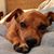 Kathy Szabo's profile image