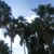 Penny Hollinger's profile image