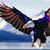 Wade Shuman's profile image