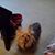 Brenda Cornwell's profile image