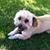 JoeAnn Rigg Moore's profile image