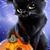 Shannon Herr's profile image